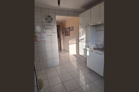 Cozinha de apartamento para alugar com 2 quartos, 55m² em Conjunto Promorar Raposo Tavares, São Paulo
