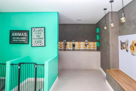 Apartamento para alugar com 38m², 2 quartos e sem vaga Apartamento para alugar com 38m², 2 quartos e sem vagaPet Care