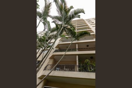 Apartamento para alugar com 75m², 2 quartos e 1 vagaFachada