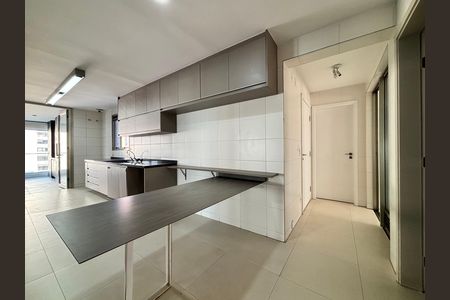 Apartamento à venda com 332m², 4 quartos e 4 vagas Apartamento à venda com 332m², 4 quartos e 4 vagasCozinha