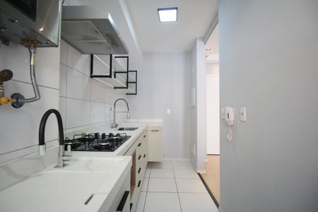 Apartamento para alugar com 45m², 2 quartos e 1 vagaCozinha - Armários