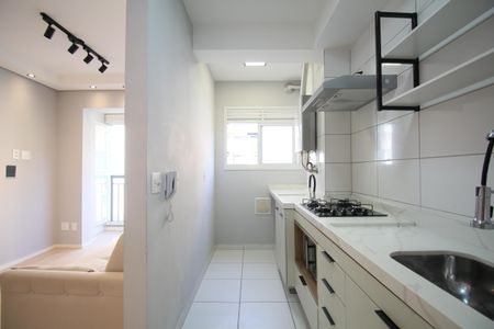 Apartamento para alugar com 45m², 2 quartos e 1 vagaCozinha - Armários