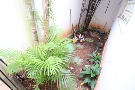 Jardim de Inverno de casa para alugar com 4 quartos, 197m² em Santa Mônica, Uberlândia