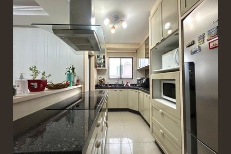 Apartamento para alugar com 100m², 3 quartos e 1 vagaCozinha 