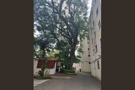Apartamento à venda com 47m², 2 quartos e 1 vaga