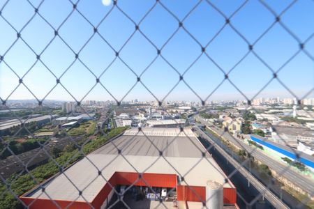 Vista da Varanda de apartamento para alugar com 2 quartos, 50m² em Vila Metalúrgica, São Paulo