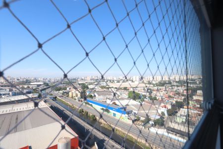 Vista da Varanda de apartamento para alugar com 2 quartos, 50m² em Vila Metalúrgica, São Paulo
