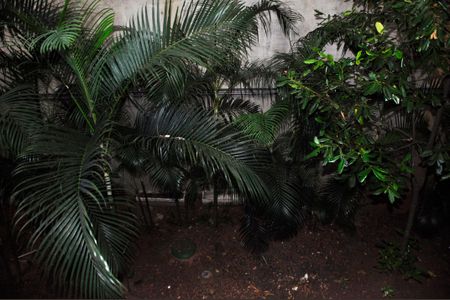 Apartamento para alugar com 45m², 2 quartos e 1 vagaDetalhe - Vista do Quarto 02