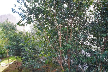 Apartamento à venda com 49m², 2 quartos e 1 vagaQuarto 2_Vista 