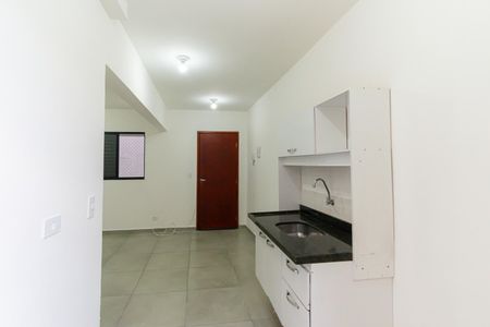 Apartamento para alugar com 30m², 1 quarto e sem vagaCozinha