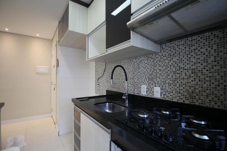 Apartamento para alugar com 44m², 2 quartos e 1 vagaCozinha - Armários