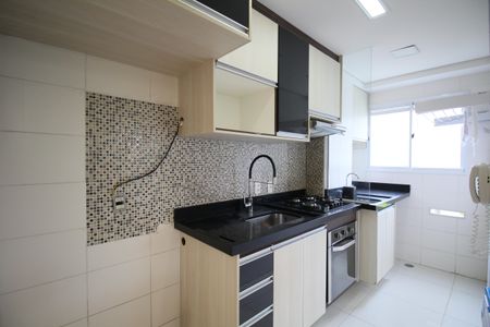 Apartamento para alugar com 44m², 2 quartos e 1 vagaCozinha - Armários
