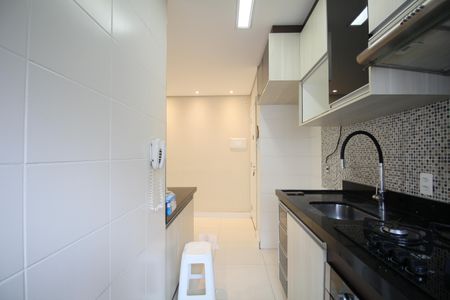 Apartamento para alugar com 44m², 2 quartos e 1 vagaCozinha - Armários