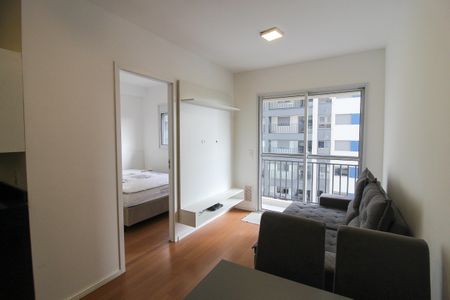 Sala de apartamento para alugar com 1 quarto, 31m² em Vila Sonia, São Paulo