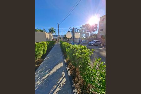 Apartamento para alugar com 2 quartos, 47m² em Fátima, Canoas