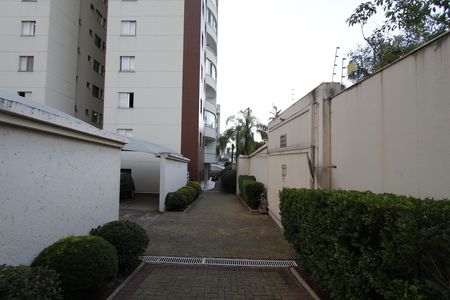 Apartamento à venda com 77m², 3 quartos e 2 vagasÁrea comum