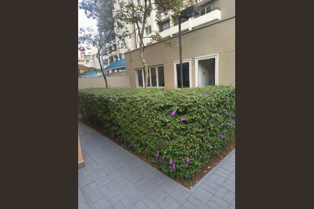 Apartamento para alugar com 33m², 1 quarto e sem vagaÁrea Externa
