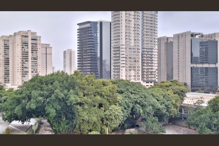 Vista  de apartamento para alugar com 1 quarto, 27m² em Várzea da Barra Funda, São Paulo