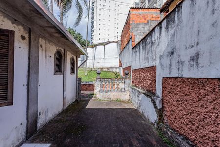 Casa para alugar com 500m², 10 quartos e 15 vagas Casa para alugar com 500m², 10 quartos e 15 vagasQuintal