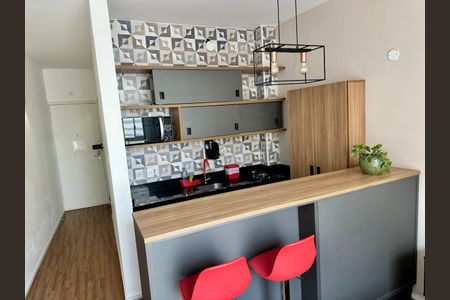 Apartamento para alugar com 29m², 1 quarto e sem vagaCozinha
