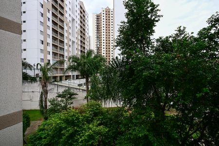 Apartamento para alugar com 73m², 3 quartos e 1 vagaVista do Quarto 2