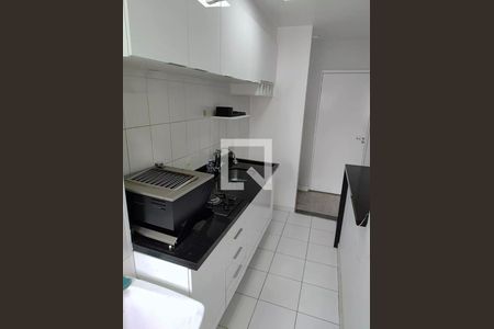 Cozinha de apartamento para alugar com 1 quarto, 33m² em Cambuci, São Paulo