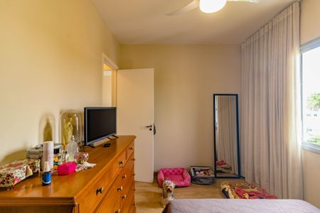 Apartamento à venda com 2 quartos, 55m² em Vila Mira, São Paulo