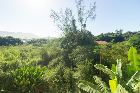 Vista do Quarto 1 de apartamento para alugar com 2 quartos, 55m² em Campo Grande, Rio de Janeiro