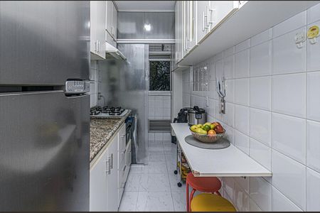 Apartamento para alugar com 48m², 2 quartos e 1 vagacozinha_2