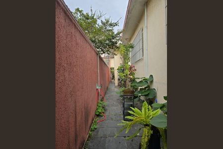 Casa para alugar com 400m², 3 quartos e 3 vagasQuintal 
