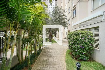 Apartamento para alugar com 68m², 2 quartos e 1 vagaÁrea comum