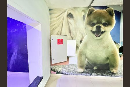 Casa para alugar com 534m², 4 quartos e 12 vagas Casa para alugar com 534m², 4 quartos e 12 vagasGaragem
