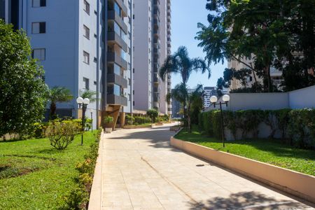 Apartamento à venda com 75m², 3 quartos e 2 vagasÁrea comum