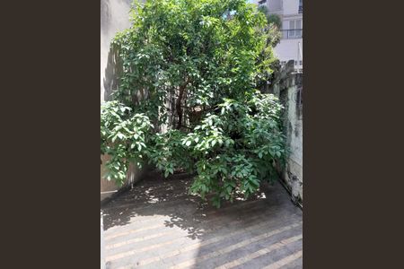 Casa à venda com 150m², 3 quartos e 8 vagas