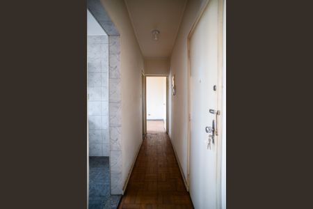 Corredor de apartamento para alugar com 1 quarto, 48m² em Cambuci, São Paulo