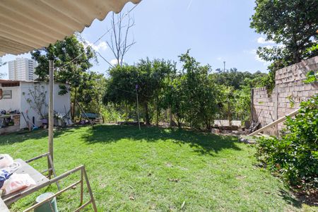 Casa para alugar com 300m², 3 quartos e 6 vagasQuintal