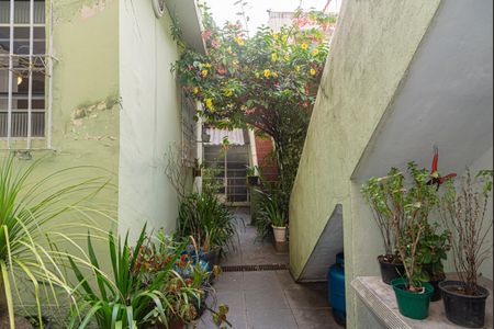 Casa à venda com 209m², 3 quartos e 2 vagasQuintal