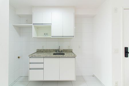 Cozinha de apartamento para alugar com 2 quartos, 66m² em Barra Funda, São Paulo