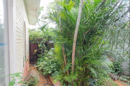 Casa à venda com 250m², 3 quartos e 2 vagasJardim