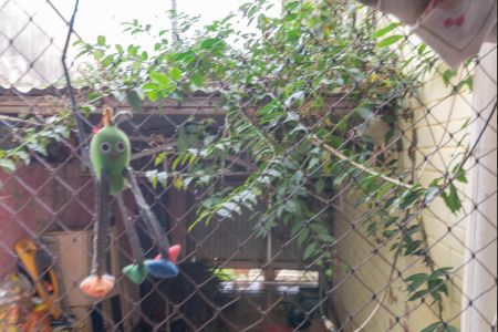 Casa à venda com 250m², 3 quartos e 2 vagasVista do Quarto 1