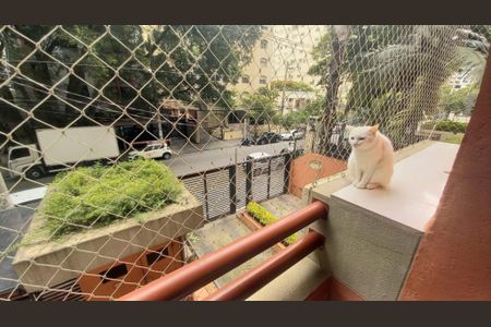 Apartamento à venda com 80m², 3 quartos e 2 vagasFoto 04
