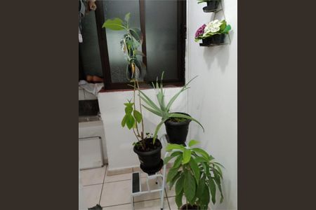 Apartamento à venda com 2 quartos, 84m² em Cambuci, São Paulo