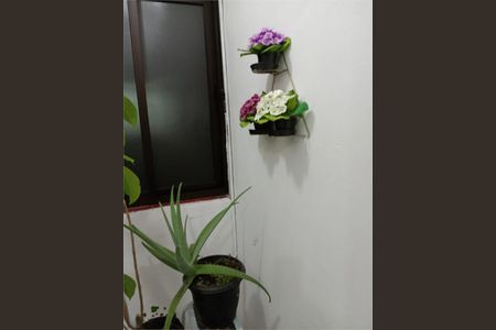 Apartamento à venda com 2 quartos, 84m² em Cambuci, São Paulo