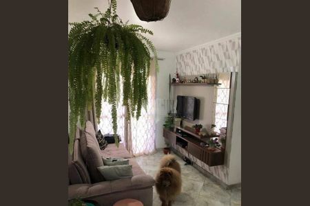 Apartamento à venda com 2 quartos, 50m² em Vila Carmosina, São Paulo