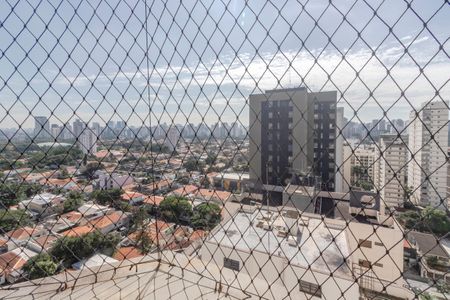 Apartamento à venda com 228m², 3 quartos e 2 vagasVista da Suíte
