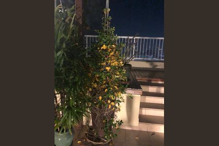 Apartamento à venda com 220m², 6 quartos e 3 vagas Apartamento à venda com 220m², 6 quartos e 3 vagasPiscina com vista para a cidade à noite, com plantas e uma varanda ao fundo.