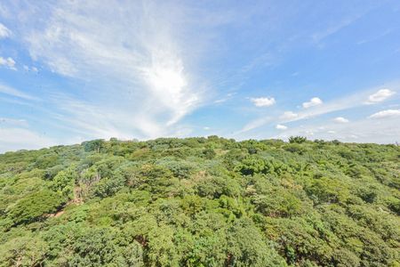Apartamento para alugar com 34m², 3 quartos e sem vagaVista Sala