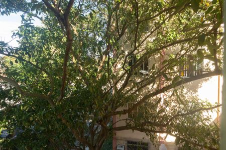 Vista do Quarto 1 de apartamento para alugar com 2 quartos, 50m² em Santa Cruz, Rio de Janeiro