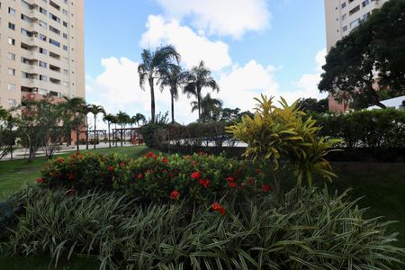 Apartamento para alugar com 70m², 2 quartos e 1 vagaJardim