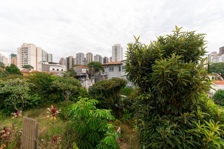 Casa para alugar com 300m², 3 quartos e 8 vagasVista do Quarto 3